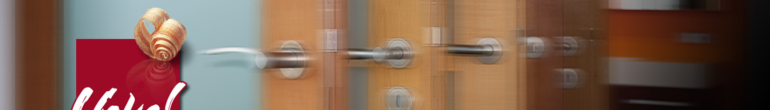 Haust&uuml;ren, Wohnungst&uuml;ren, Kellert&uuml;ren, Eingangst&uuml;ren, T&uuml;rgriffe, T&uuml;rbeschl&auml;ge, T&uuml;rrahmen, T&uuml;rschl&ouml;sser und Fl&uuml;gelt&uuml;ren